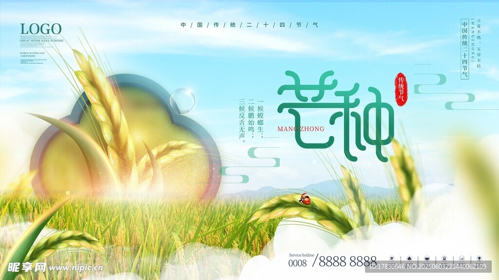 芒种海报