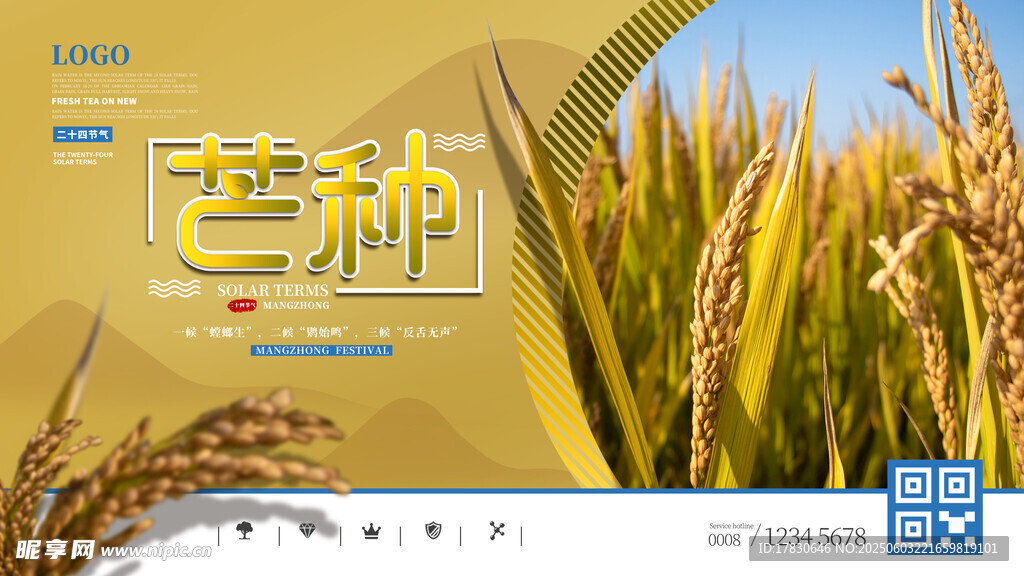 芒种海报
