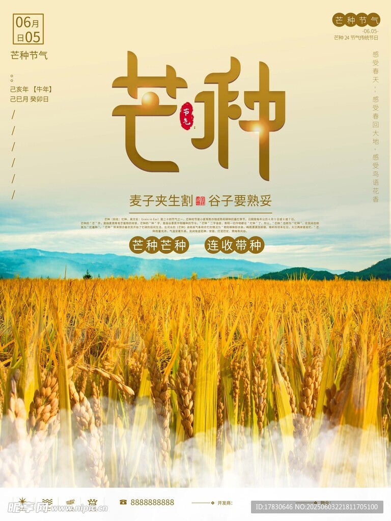 芒种海报