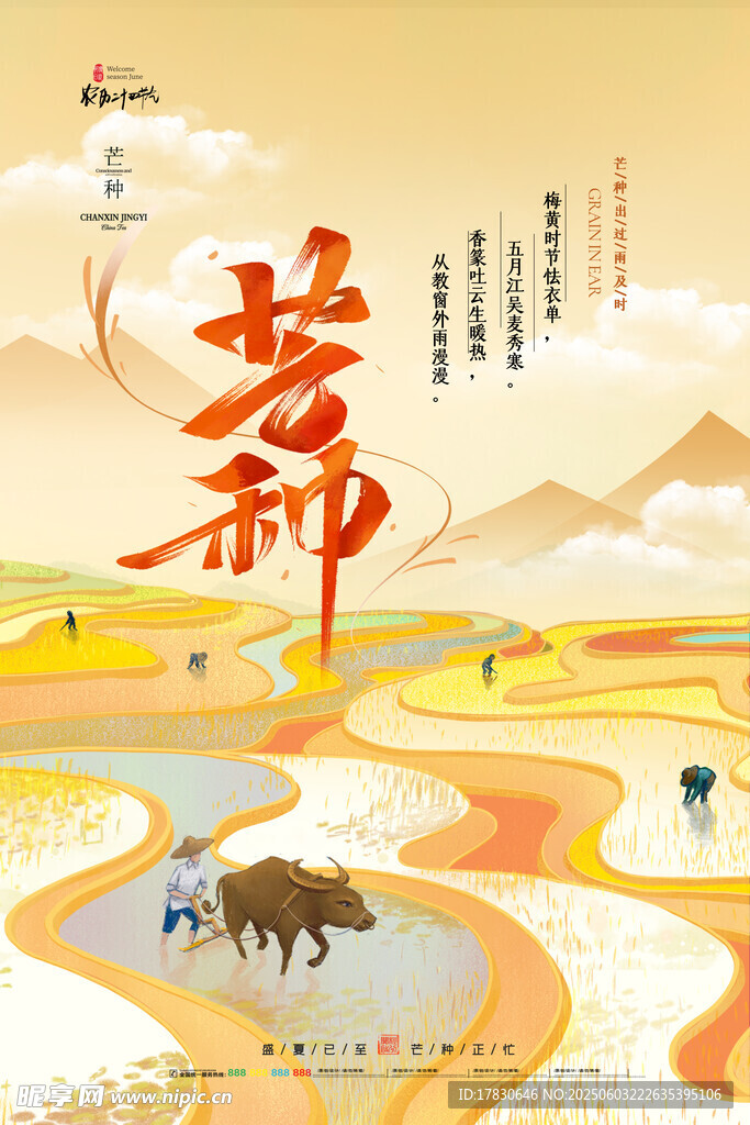 芒种海报