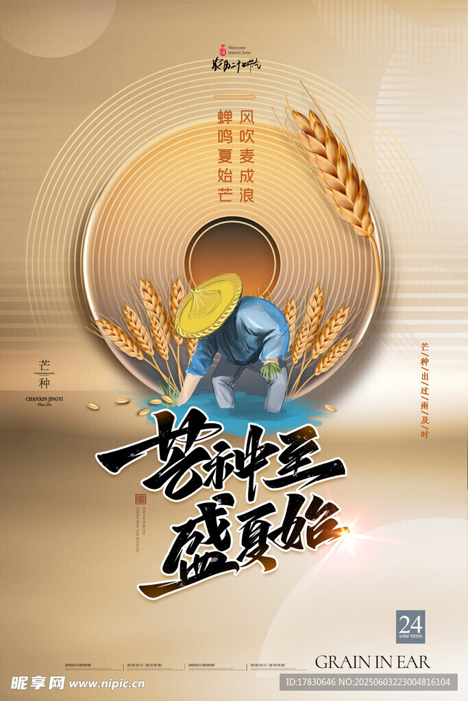 芒种海报