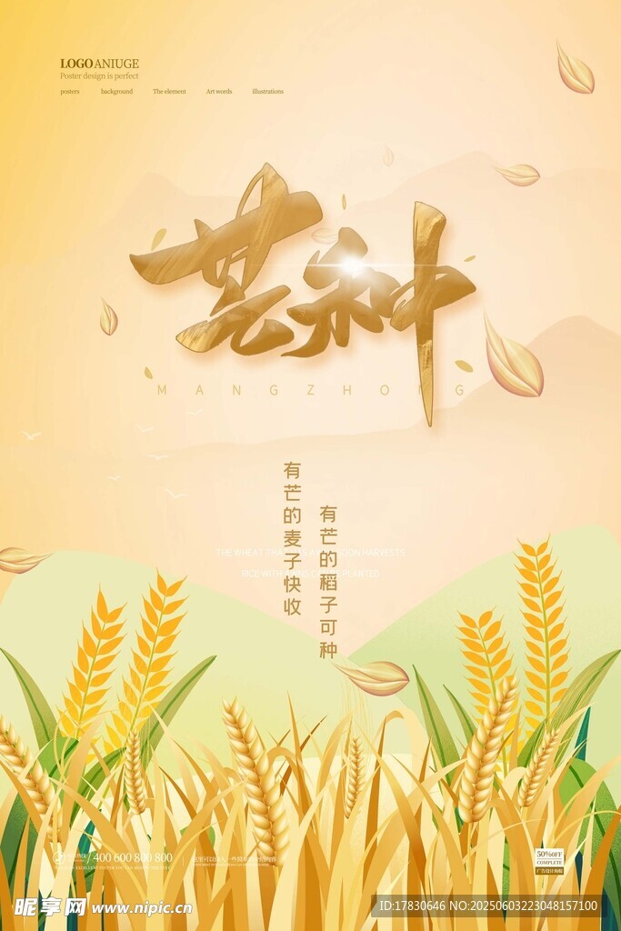 芒种海报