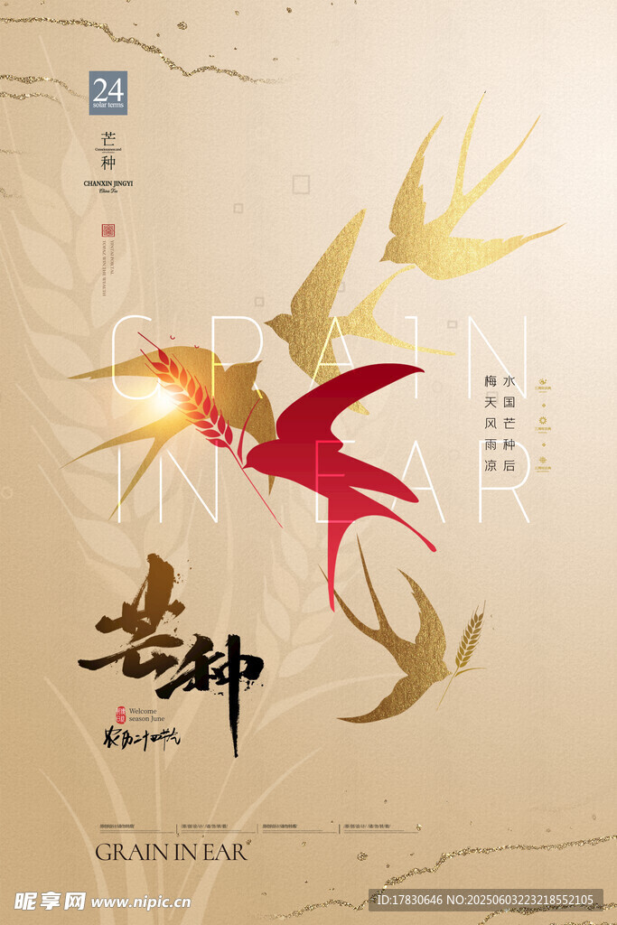 芒种海报