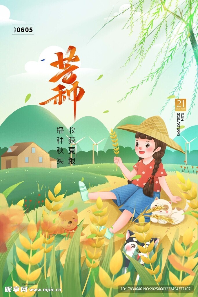 芒种海报