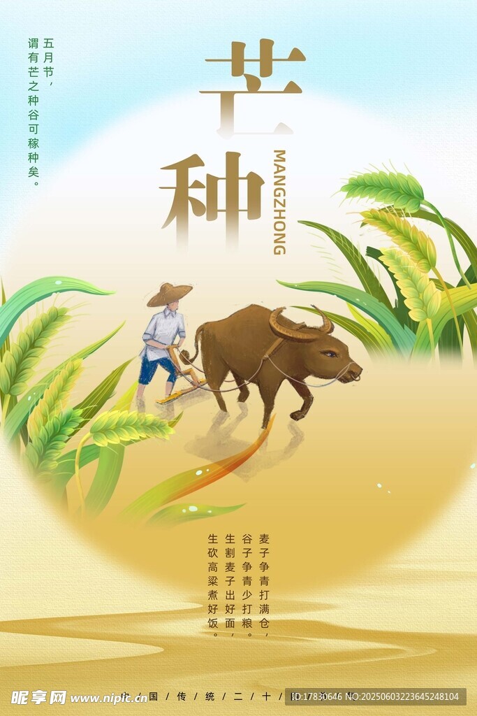 芒种海报