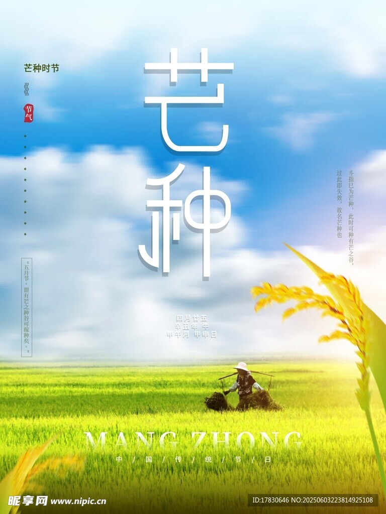 芒种海报
