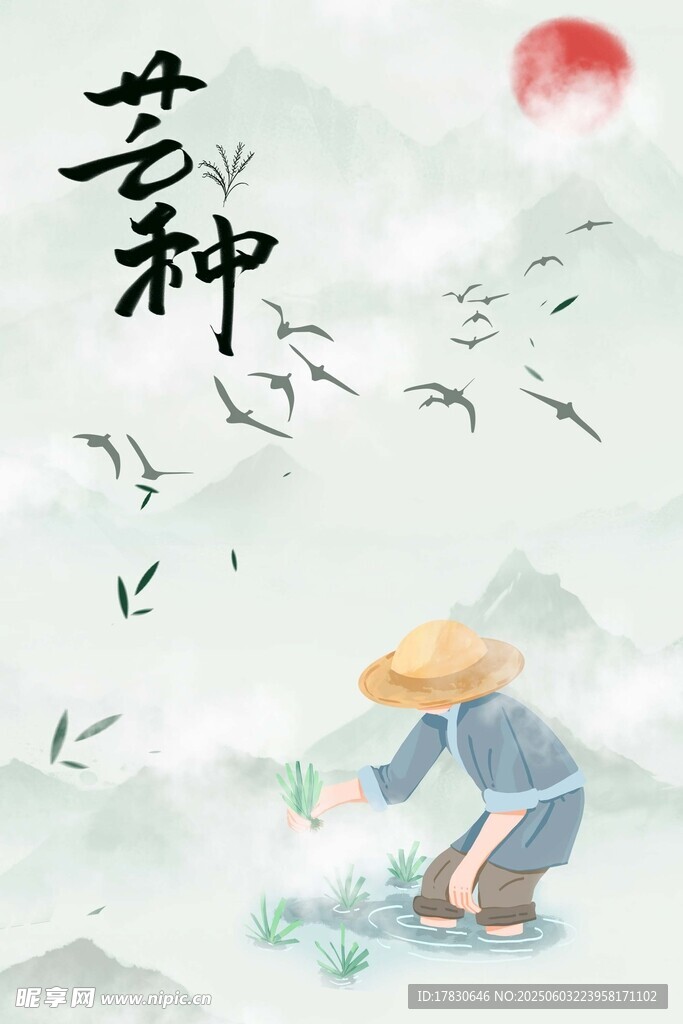 芒种海报