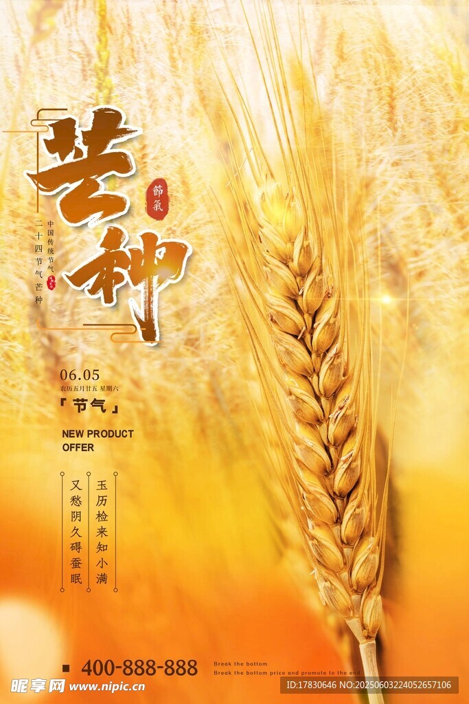 芒种海报