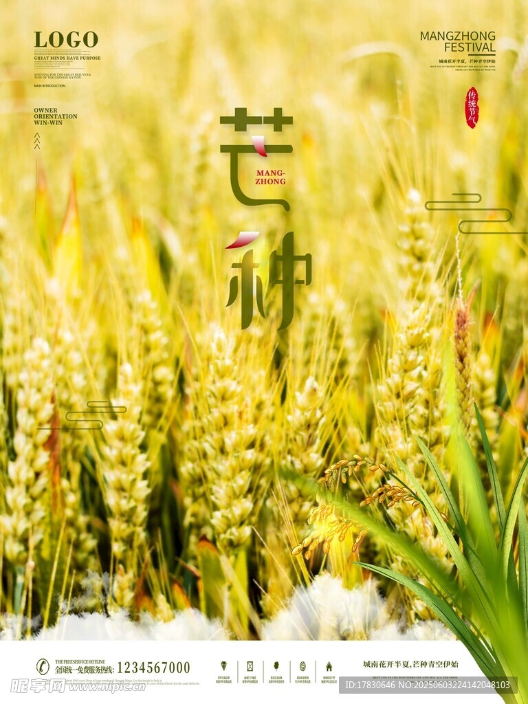 芒种海报