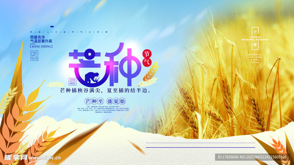 芒种海报