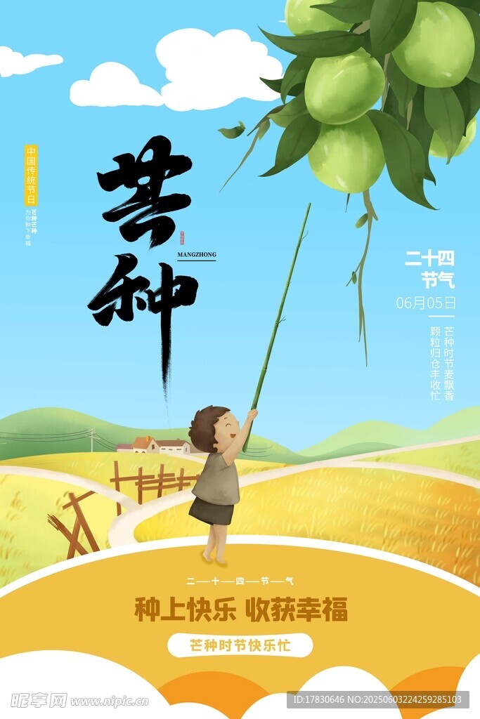 芒种海报