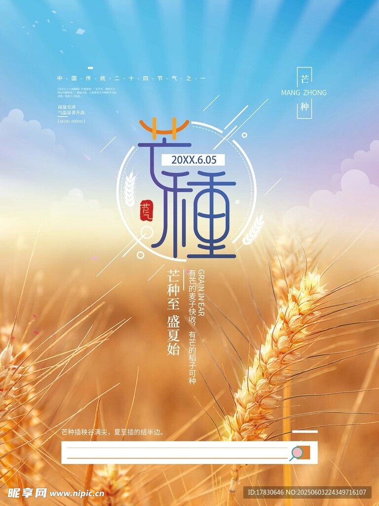 芒种海报