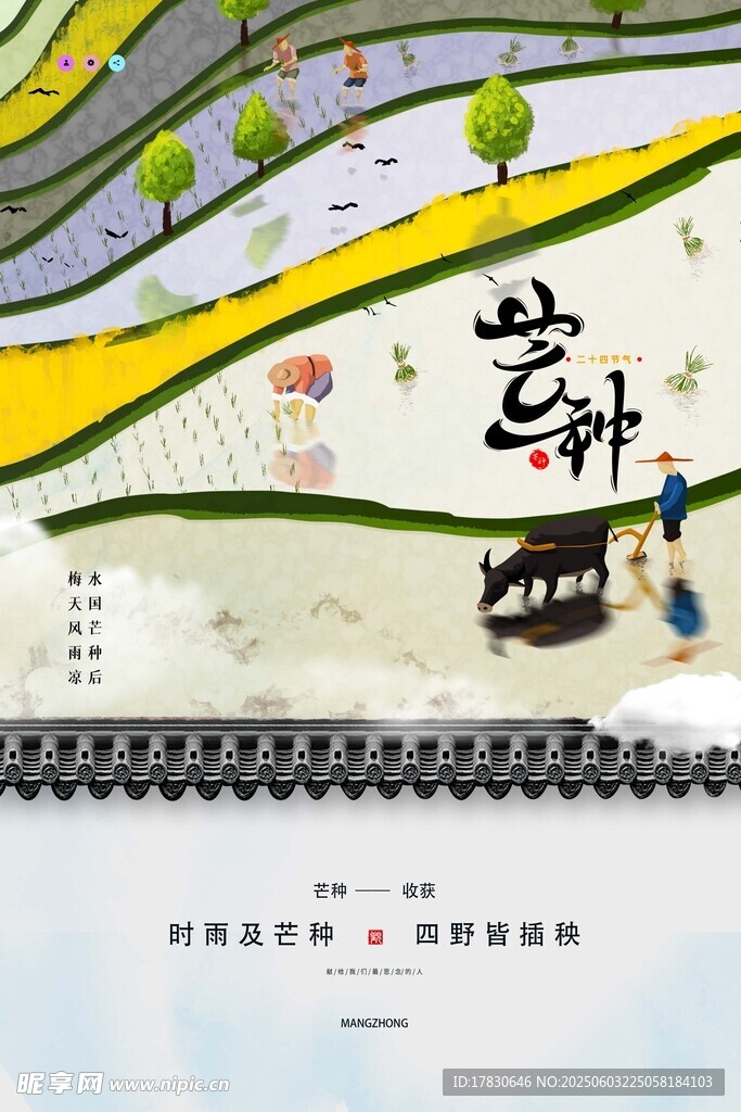 芒种海报