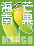 海南芒果宣传图