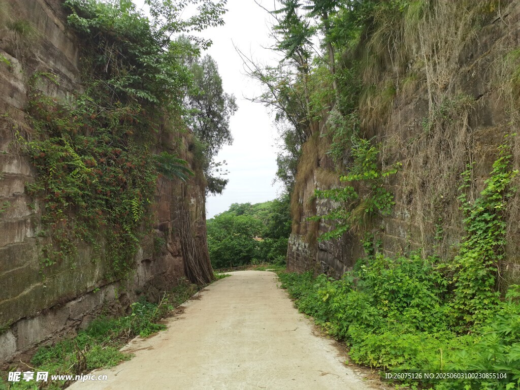 乡间夹缝
