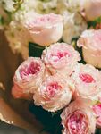 玫瑰花束