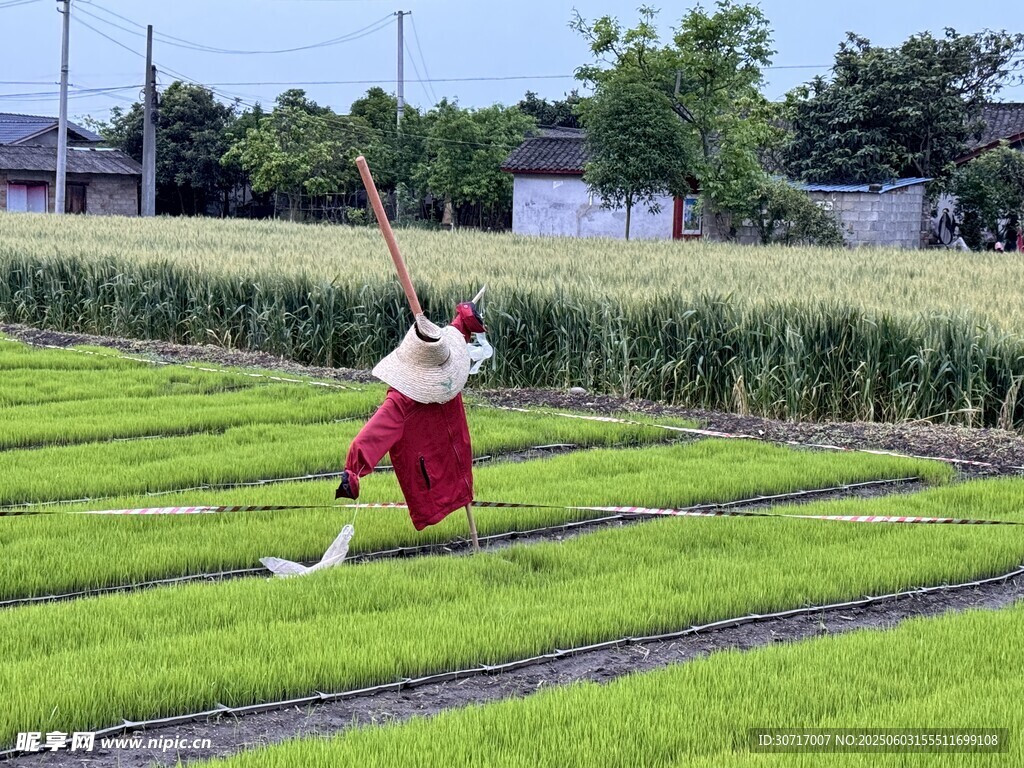 稻草人