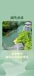 端午节海报