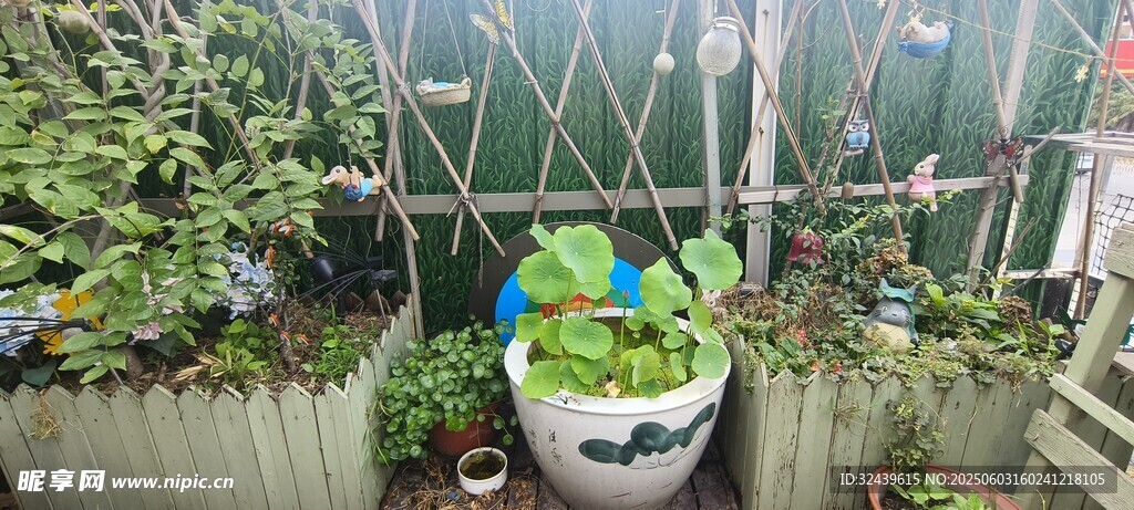 温室中的多彩盆栽植物