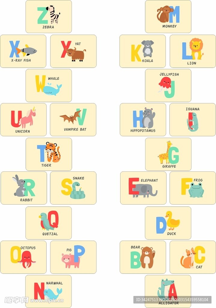 字母