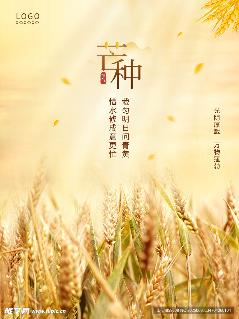 金色麦田下的播种希望