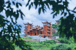 透过枝叶看中式古建筑