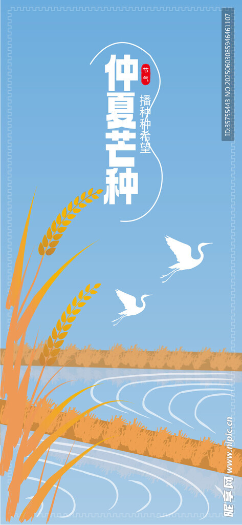 芒种海报