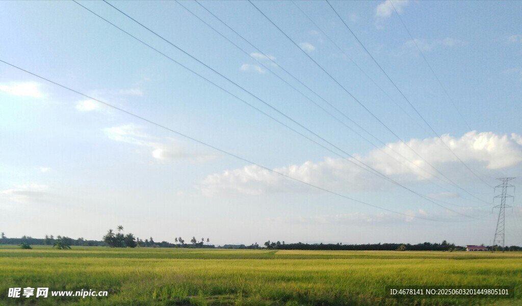 广阔田野与空中电线景观