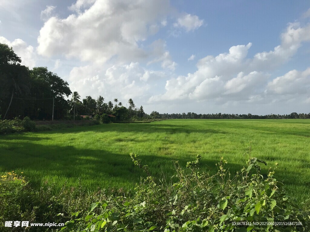 广袤绿野与蓝天白云美景