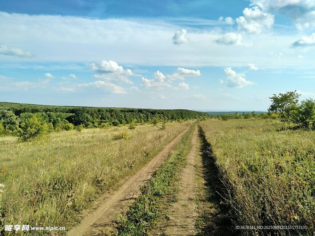 田野间的泥土小路