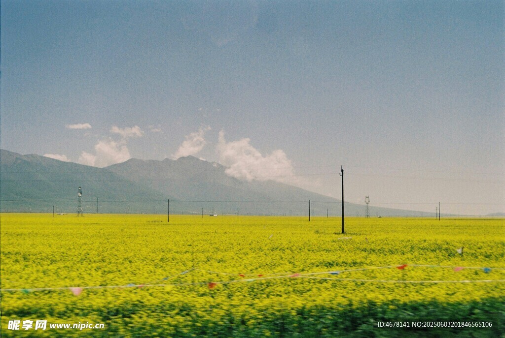金黄田野与远处山峦美景