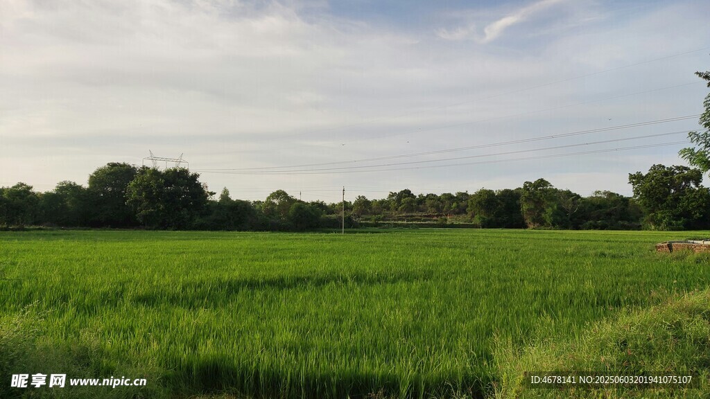 广袤绿野田园风光美景