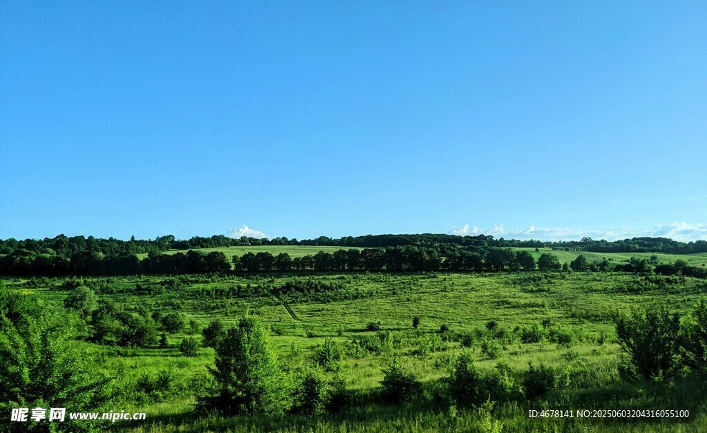 广袤绿野蓝天美景