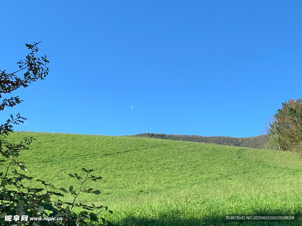 翠绿草地与蓝天美景