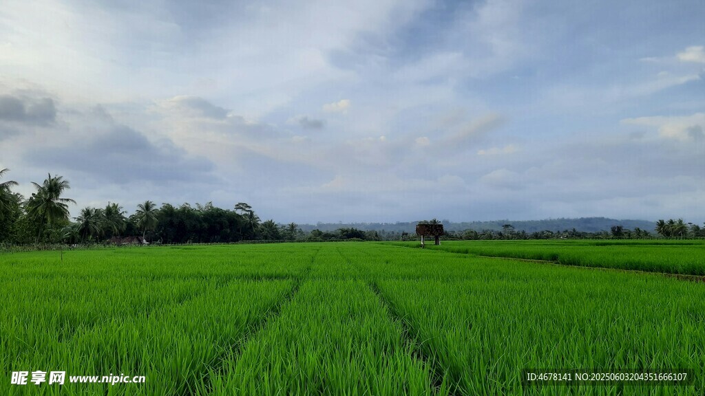 广袤绿野田园风光美景