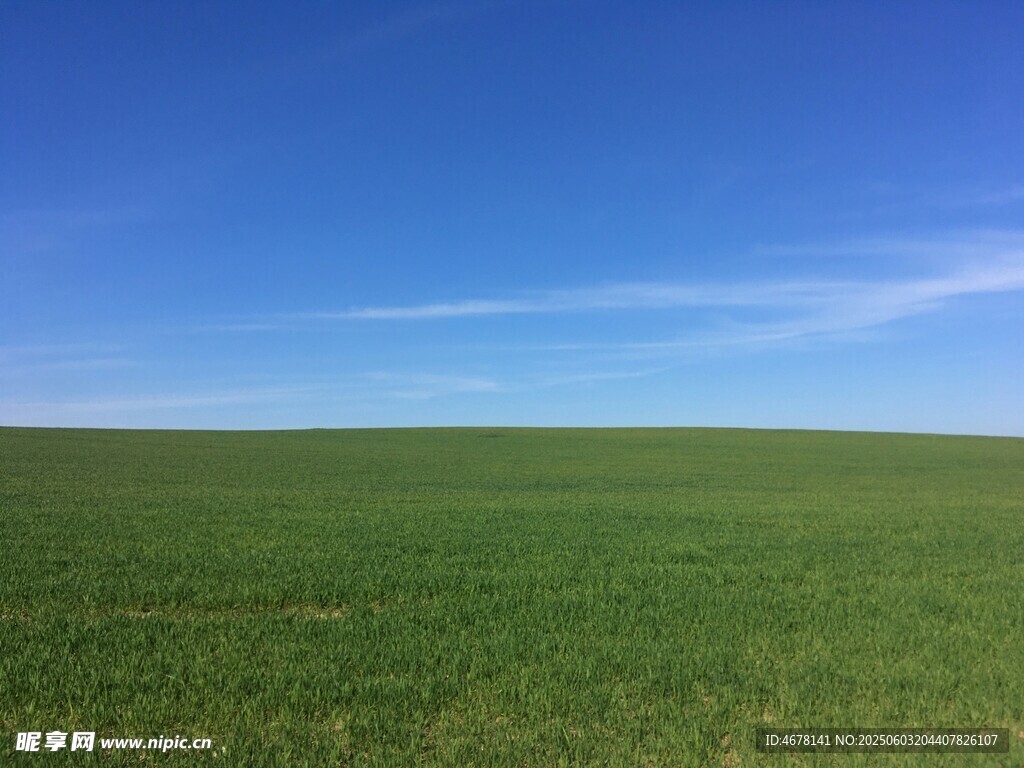 广袤草原蓝天美景