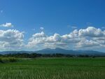 广袤绿野与蓝天白云美景