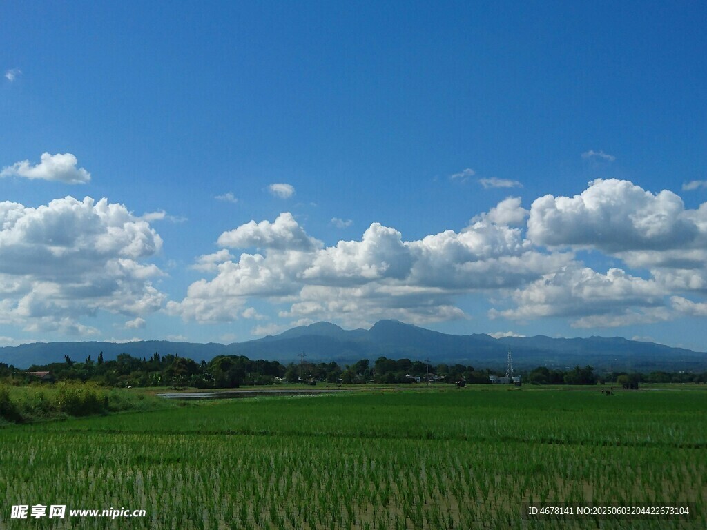 广袤绿野与蓝天白云美景