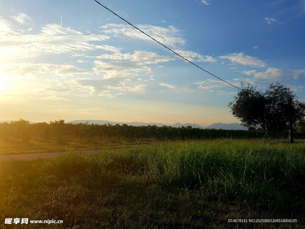 田野夕阳美景