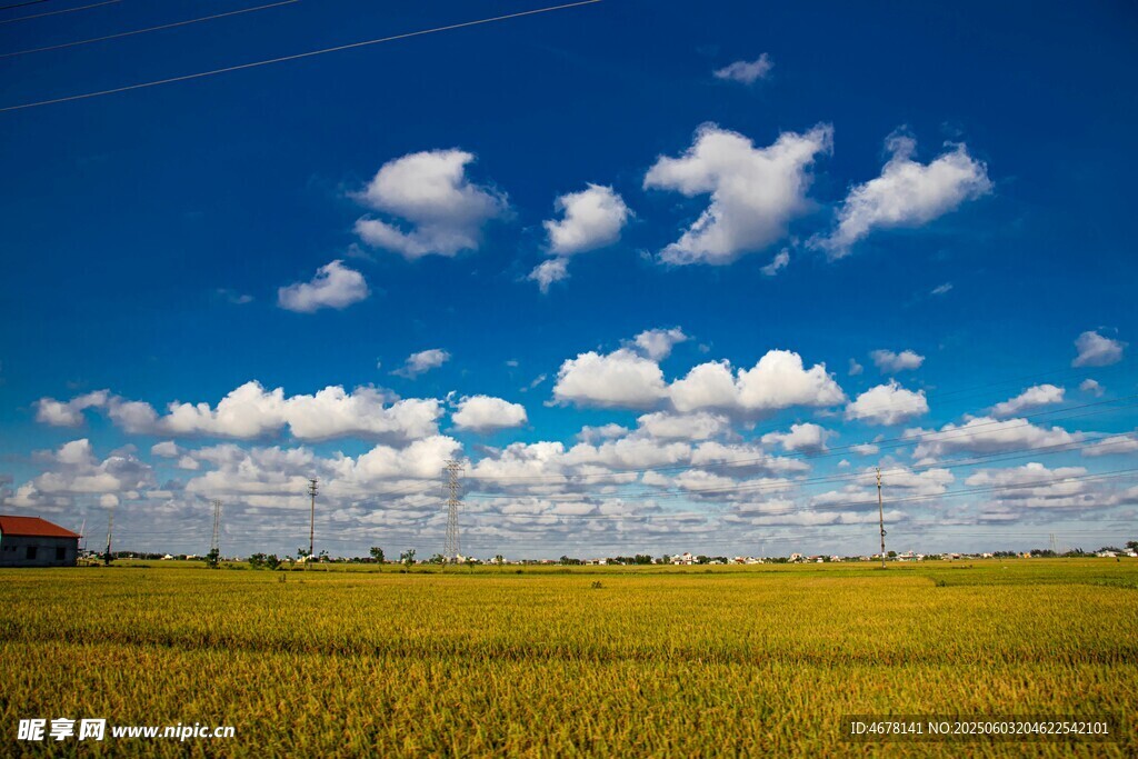 蓝天绿野田园风光美景