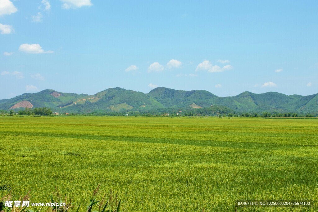 广袤绿野与远山美景