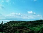 青山梯田映蓝天美景