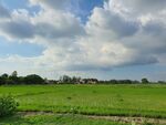 田园风光美景