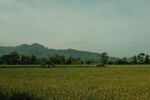 广袤田野与远处山峦景色