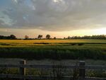 夕阳下的田野与木栅栏