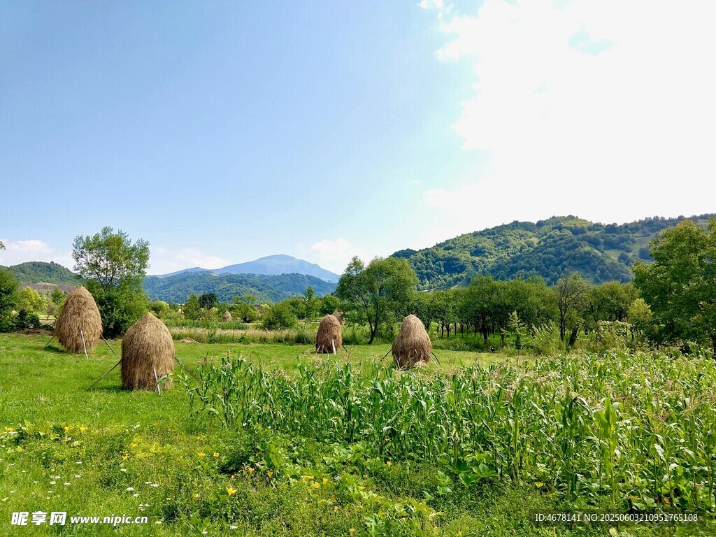 田园草垛美景