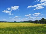 广袤田野蓝天白云美景