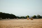 田野中的干草堆田园风光
