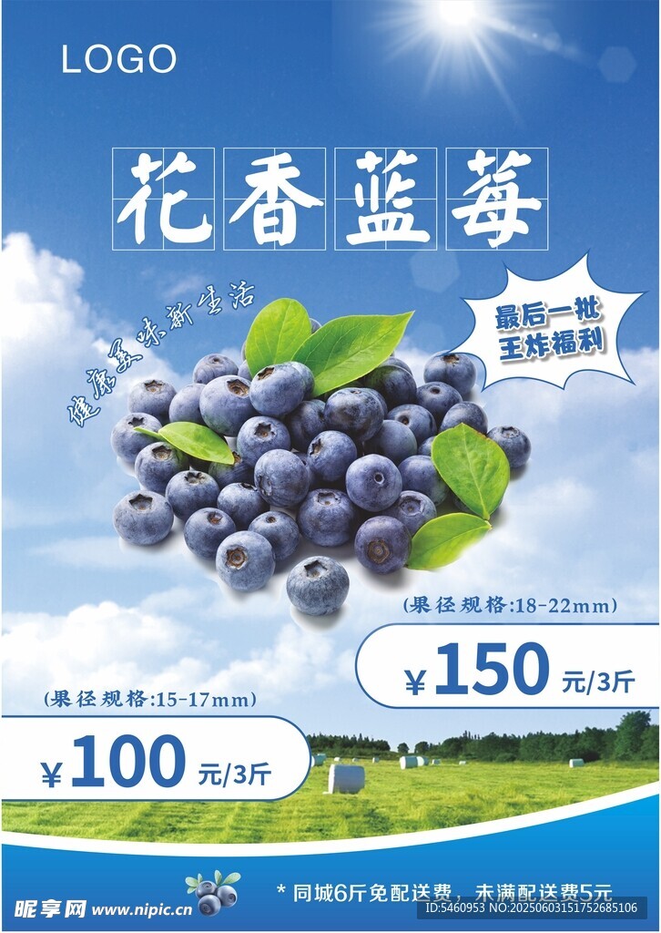 蓝莓