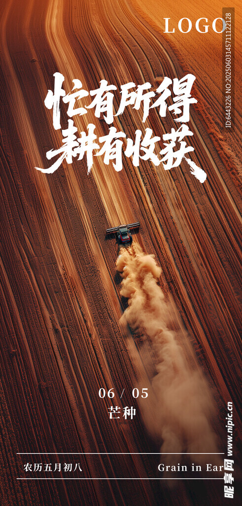 芒种海报设计